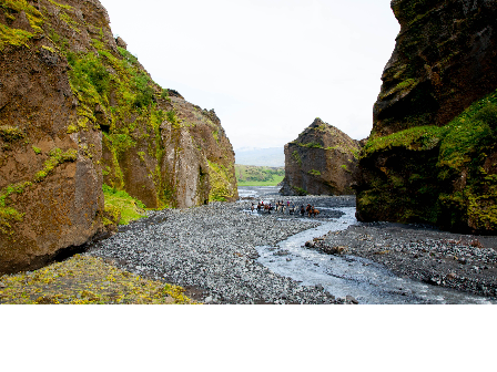 Riding with the Herd in Iceland 